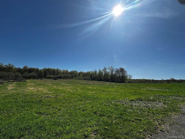 Land for sale in Modena, Town of Plattekill