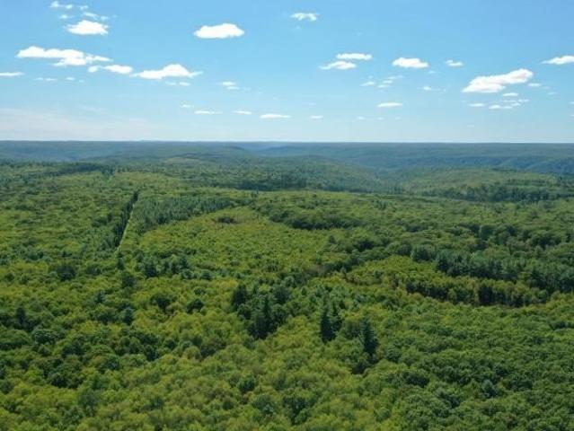 Land for sale in Warren, Pennsylvania