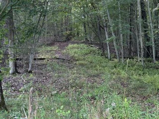 Land for sale in Derrick City, Pennsylvania