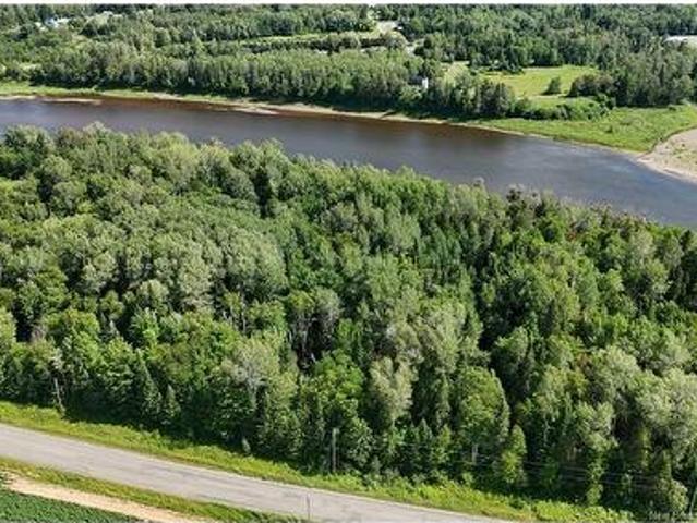 Land for sale in Rowena, Perth Parish