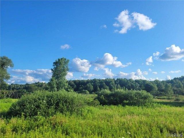 Land for sale in Kennedy, New York