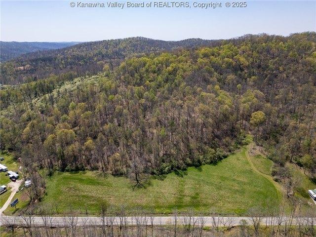 Land for sale in Hamlin, West Virginia
