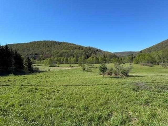 Land for sale in Coudersport, Pennsylvania