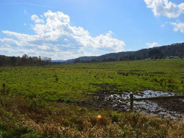 Land for sale in Shinglehouse, Pennsylvania
