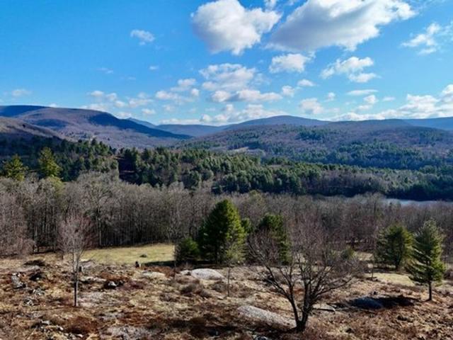 Land for sale in Neversink, New York
