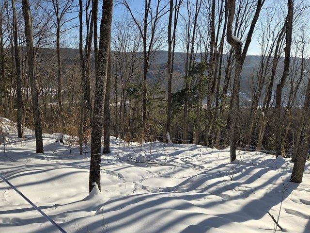 Land for sale in Randolph, Vermont