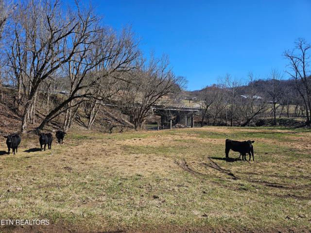 Land for sale in Virginia