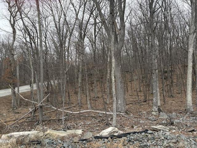 Land for sale in Milford, Pennsylvania