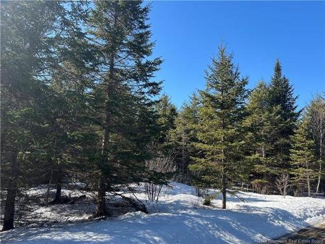 Land for sale in Hampton, New Brunswick