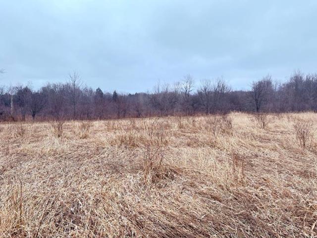 Land for sale in North East, Pennsylvania