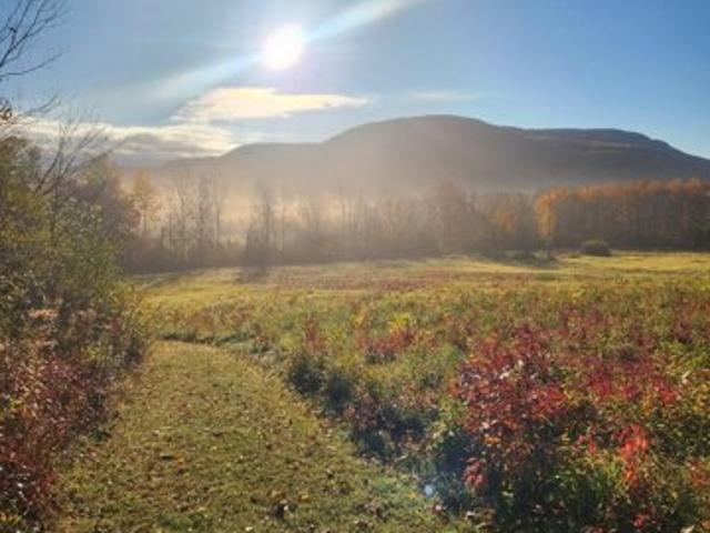 Land for sale in Bridport, Vermont