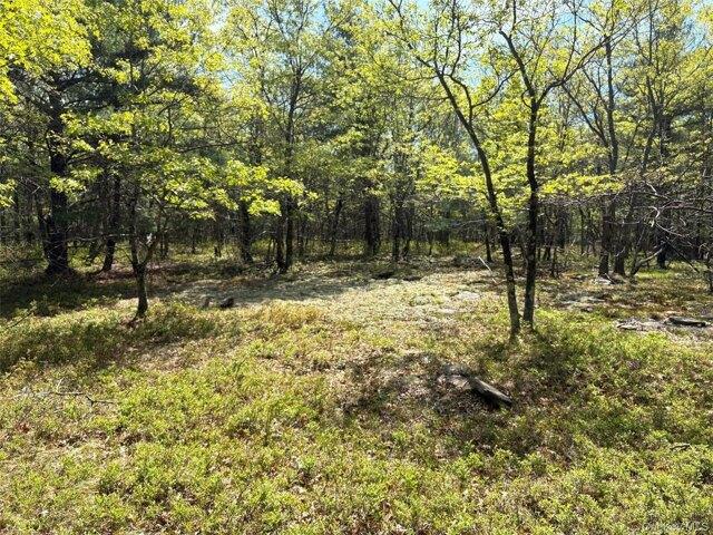 Land for sale in Hurley, New York