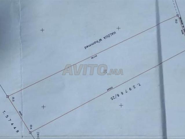 Propriété vente à Gharb-Chrarda-Beni Hssen