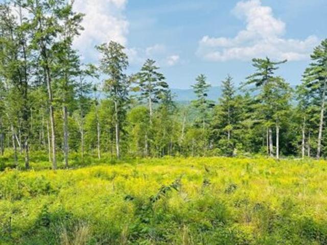 Land for sale in New Hampshire