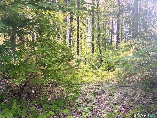 Land for sale in Canaan, Connecticut