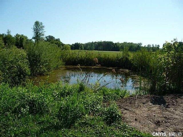 Land for sale in Canastota, New York