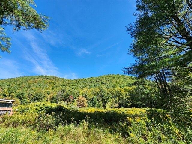 Land for sale in Charlemont, Massachusetts