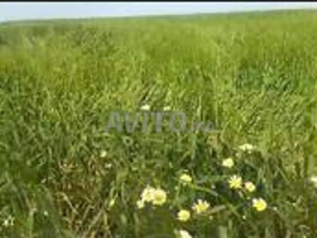 Propriété vente à Guisser, Gharb-Chrarda-Beni Hssen