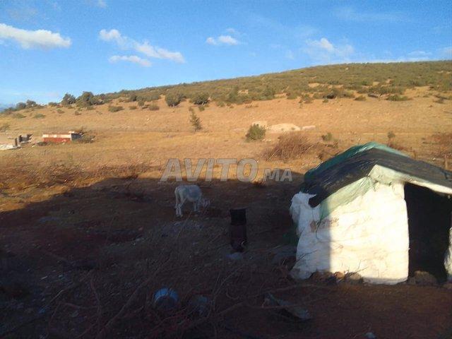 Propriété vente à Ifrane