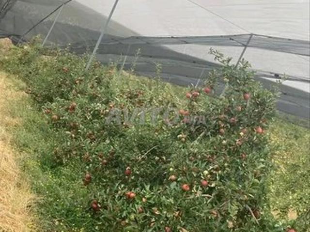 Propriété vente à Ifrane