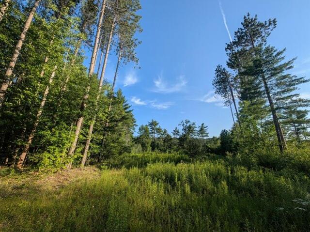 Land for sale in Litchfield, Maine