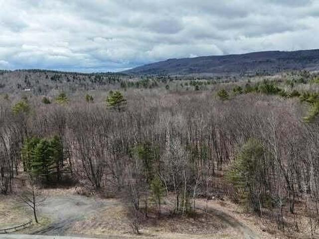 Land for sale in Bingham, Maine