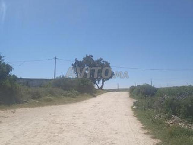 Propriété vente à El Ma, Gharb-Chrarda-Beni Hssen