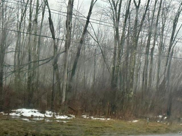 Land for sale in Oneida, New York