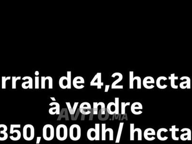 Propriété vente à Al Haouz, L'Oriental