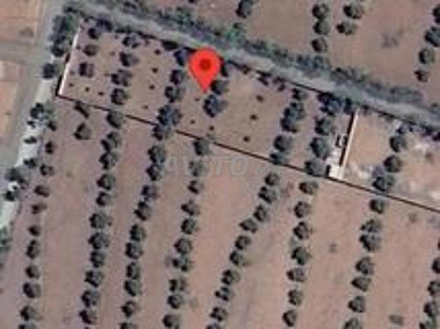 Propriété vente à Al Haouz, L'Oriental