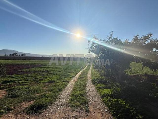 Propriété vente à Berkane