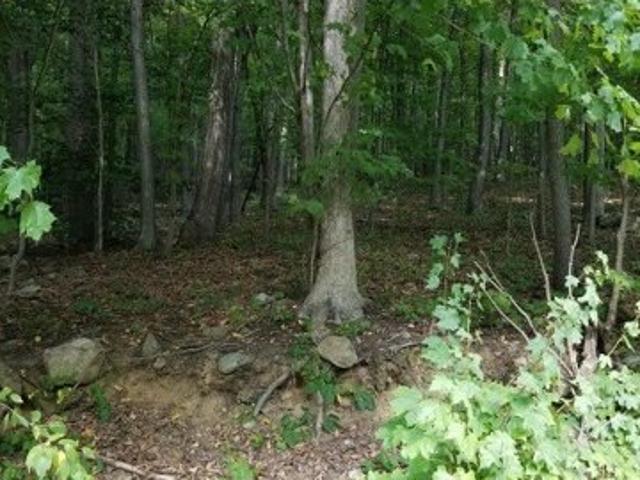 Land for sale in Randolph, New Jersey