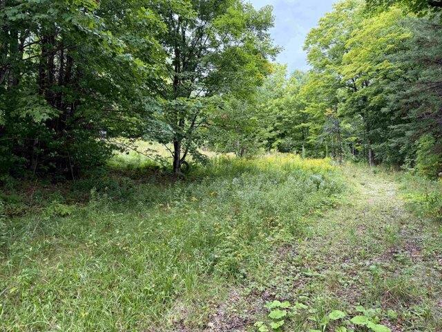 Land for sale in West Burke, Sutton