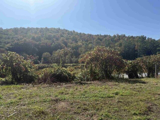 Land for sale in Wolcott, Vermont