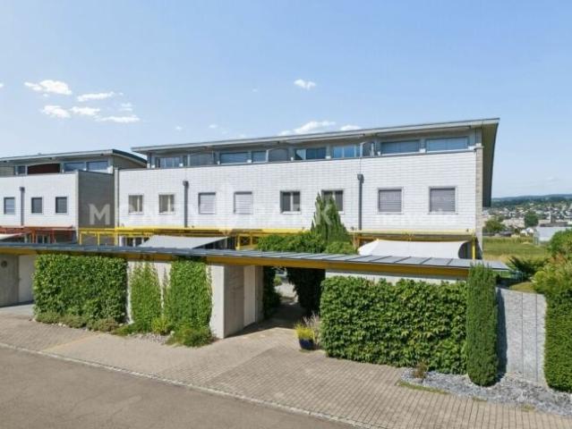 Immobilie kaufen in Villmergen, Bezirk Bremgarten