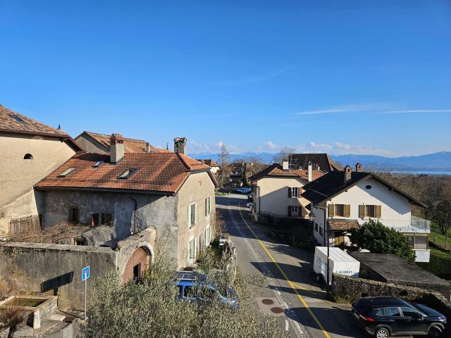 Immobilie kaufen in Givrins, District de Nyon