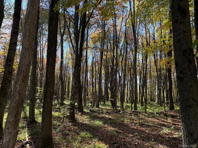Land for sale in Village of Liberty, Town of Liberty