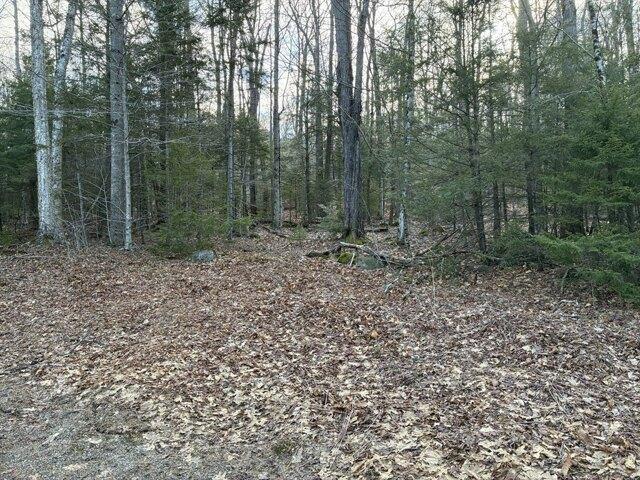 Land for sale in Rowe, Massachusetts
