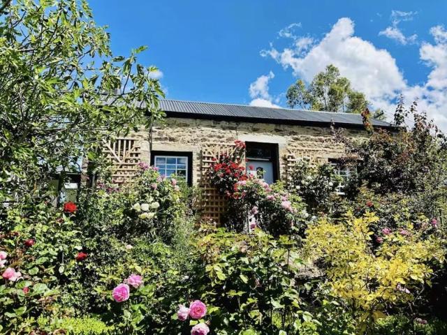 House for rent in Otakou