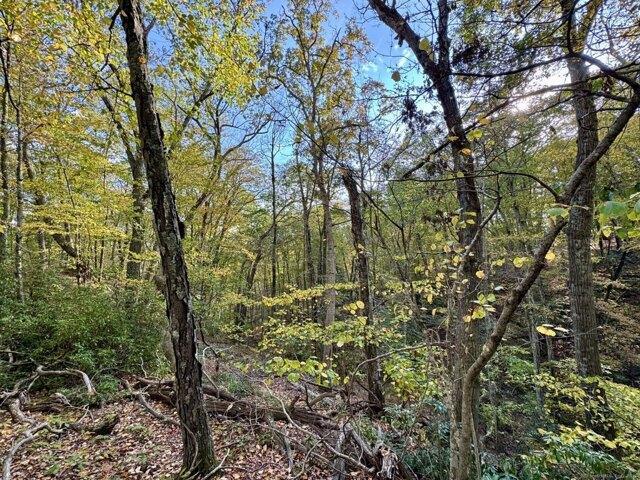 Land for sale in Roxbury, Connecticut