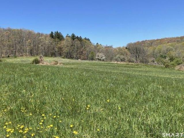Land for sale in Roxbury, Connecticut