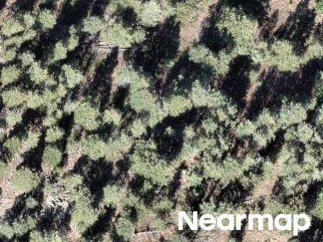 Land for sale in Colorado
