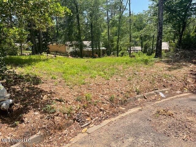 Land for sale in Jackson