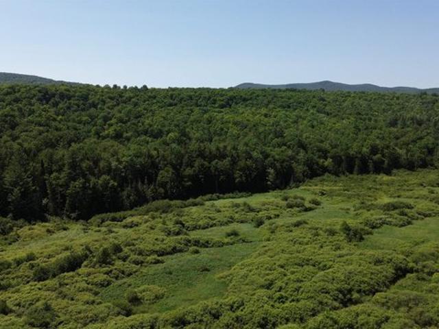 Land for sale in Roxbury, Vermont