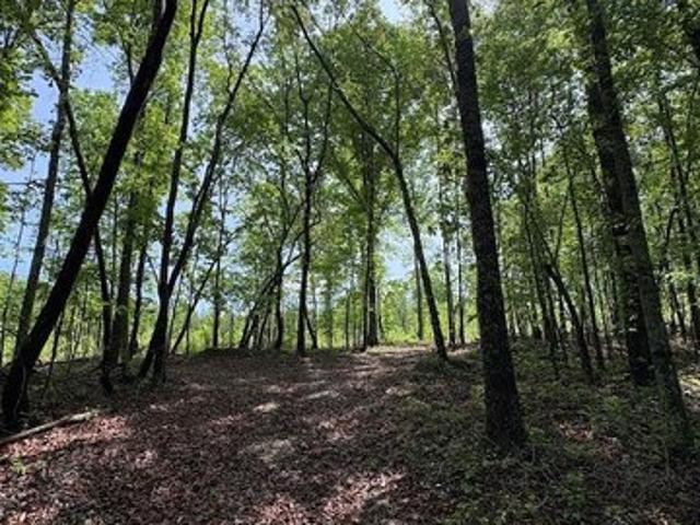 Land for sale in Haralson, Georgia
