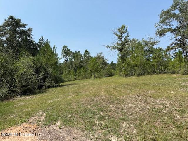 Land for sale in Mississippi