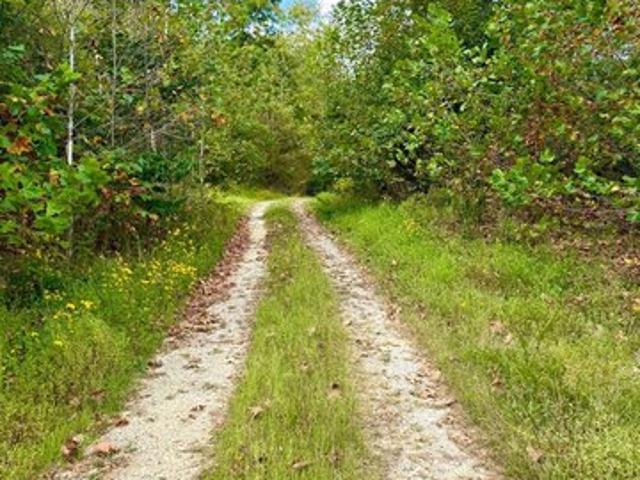 Land for sale in Lucasville, Ohio