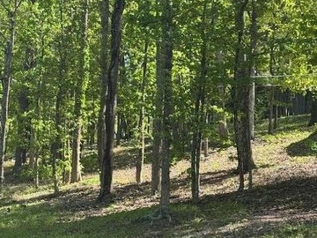 Land for sale in Warm Springs, Georgia