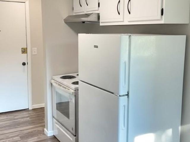 Apartment for rent in Blaine, Anoka County