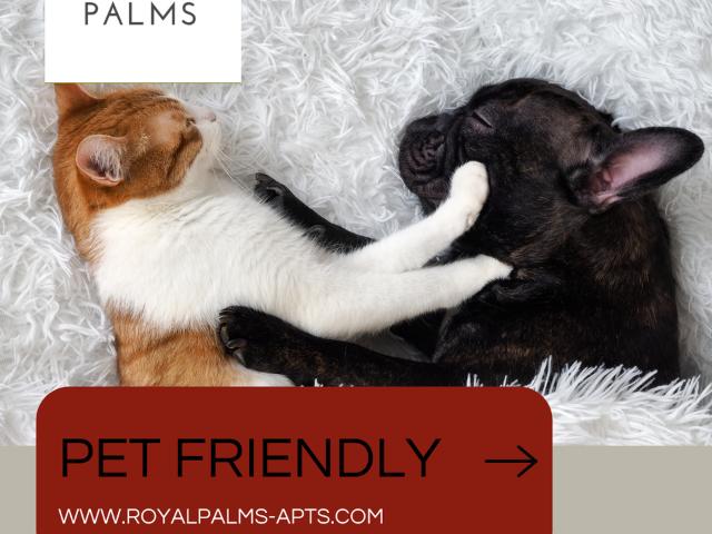 Apartment for rent in Scottsdale, Arizona